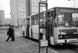 Pedevm osobm se snenou pohyblivost jsou ureny dv zvltn autobusov linky, a to slo 103 001 a 103003, kter jsou vybaveny speciln zvedac ploinou.