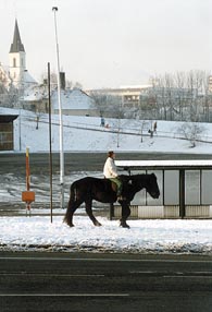 Osam�l� jezdec v lednov�m ned�ln�m odpoledni na pomez� Lu�in a Stod�lek (u To�ny)