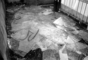 Hromada vytlu�en�ch skel po no�n�m ��d�n� vandal� (foto: -oi-)