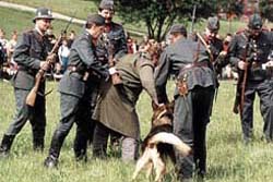 Dopaden paerka na hranicch nkdej SR