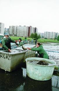 A� by to mnoz� ne�ekli, v kaln� vod� reten�n� n�dr�e se da�� i nasazen�m rak�m. Zda je to �istotou vody nebo otrlost� rak�, t�ko ��ci.