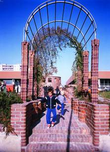 Minizahr�dka ve Stod�lk�ch - v�tvarn� prvek na hlavn� p�� cest� - r. 1985