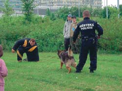 M�st�t� str�n�ci zaujali uk�zkami v�cviku slu�ebn�ch ps�.
