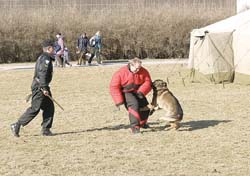 V�cvik slu�ebn�ho psa M�stsk� policie