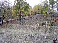 D�ky dotaci Agentury ochrany p��rody byly v ��jnu v �dol� vysazeny d�eviny